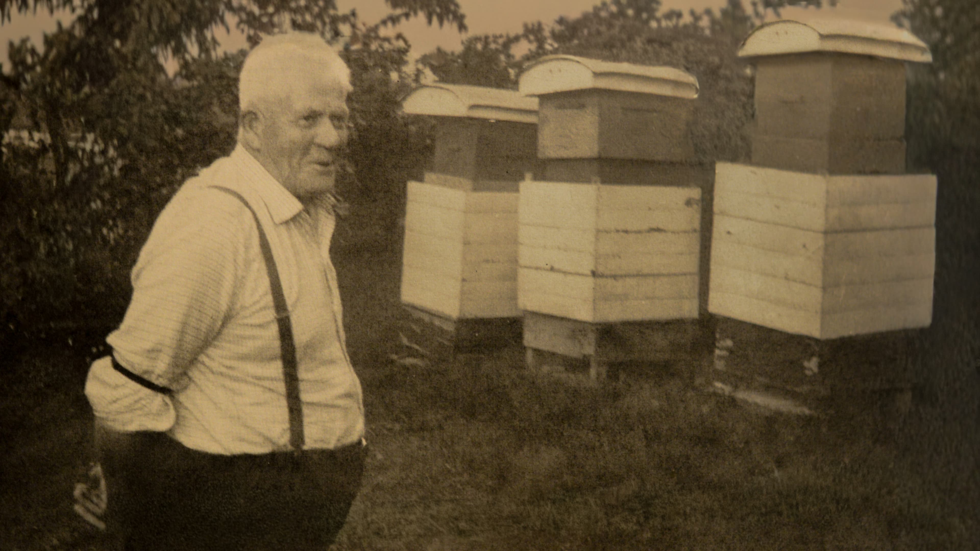 Tippoldefar med bikuber på Ringerike, 1893-1987